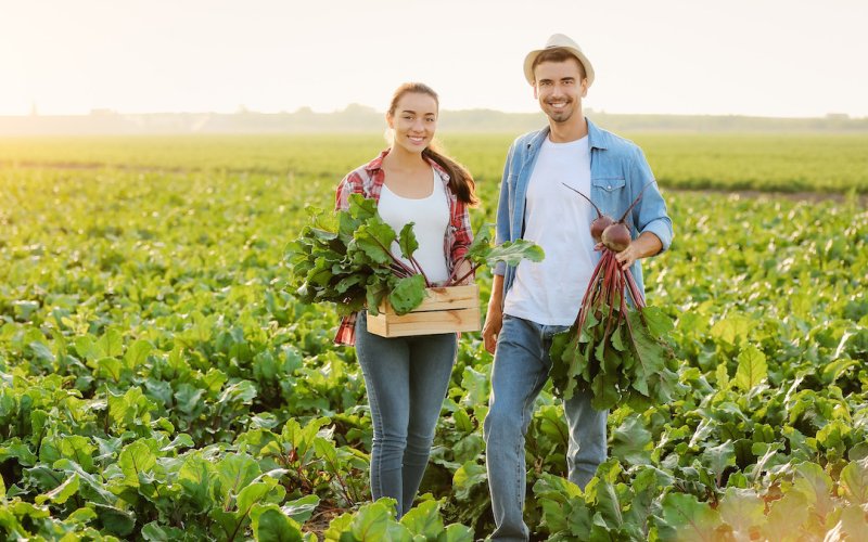 Conduttore Impresa Agricola (IAP)